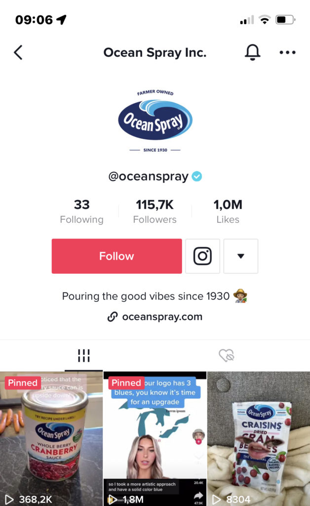 tiktok marketing strategie ocean spray