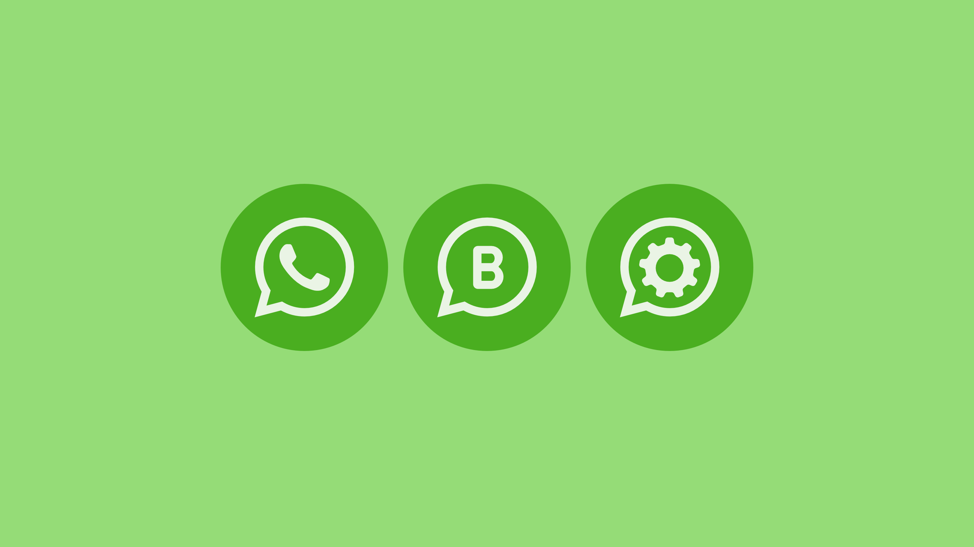 whatsapp whatsapp business whatsapp api