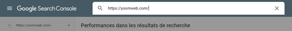 Vous pouvez également utiliser Google Search Consol GSC pour afficher comment Google voit votre page
