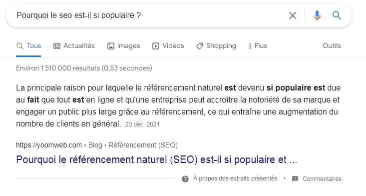 seo pour les journalistes extraits enrichis