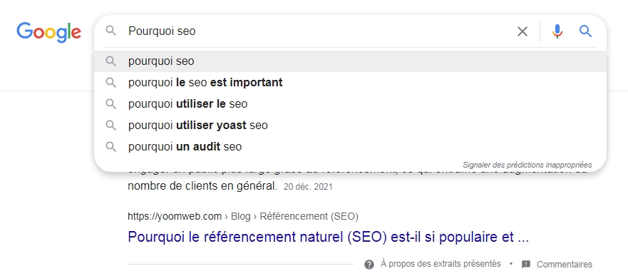 seo pour les journalistes snippets